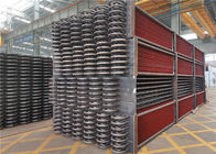Tipo radiante ASME ISO9001 dei semi della bobina del surriscaldatore della caldaia infornato carbone di SA213M T22 12TPH